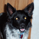 Harris was adopted in June, 2006